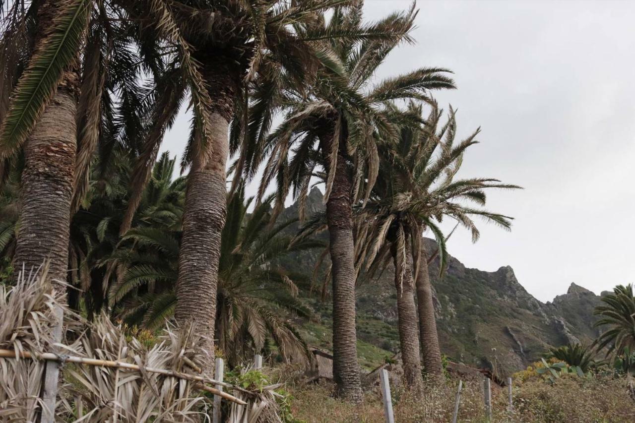 Oasis Atlantico: Rincon Secreto Al Pie De Los Senderos Azano 外观 照片